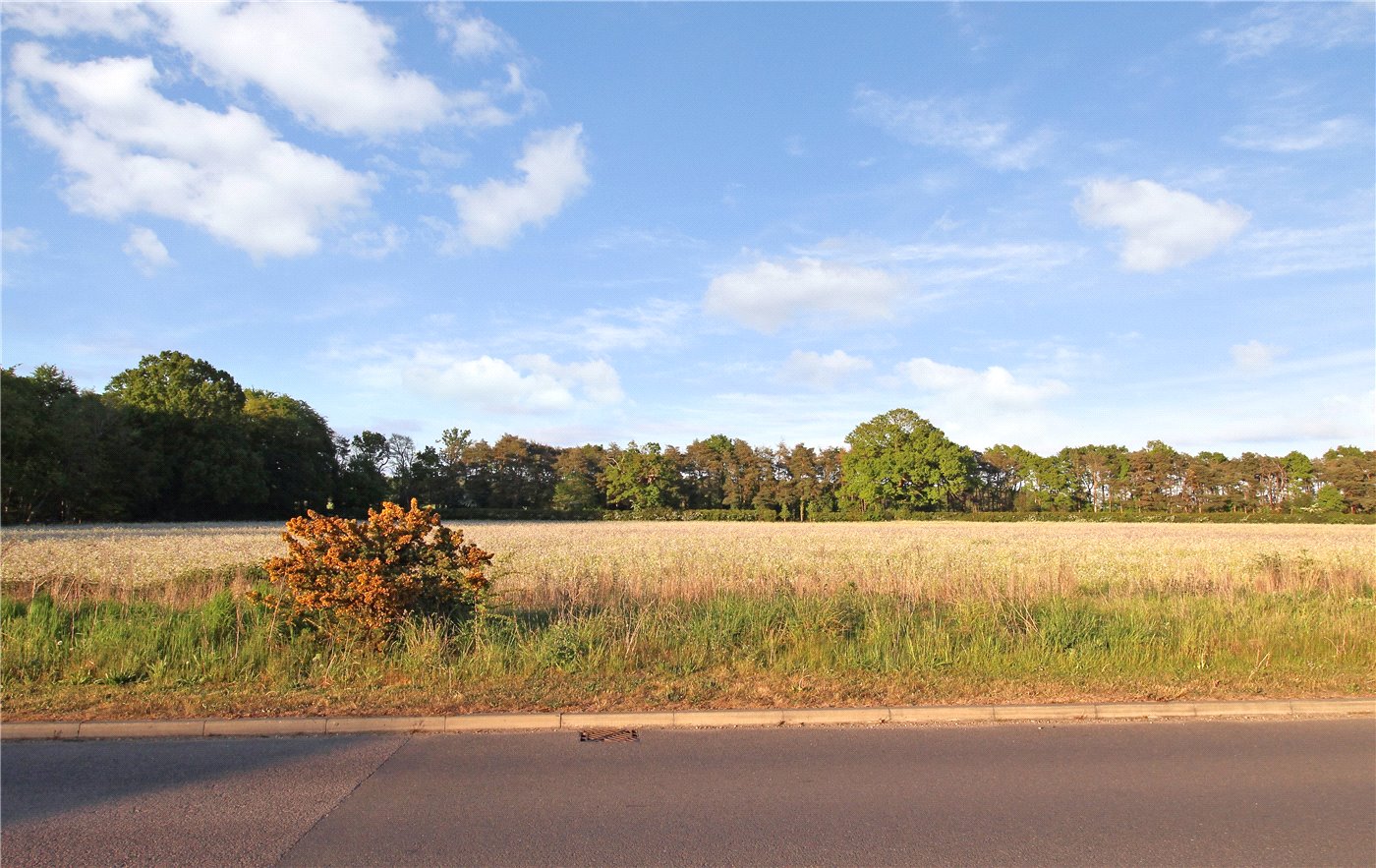 Field Views